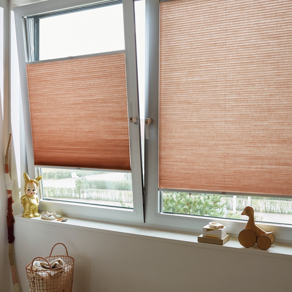 Masterblidns trufit image 1 Masterblidns trufit image 1