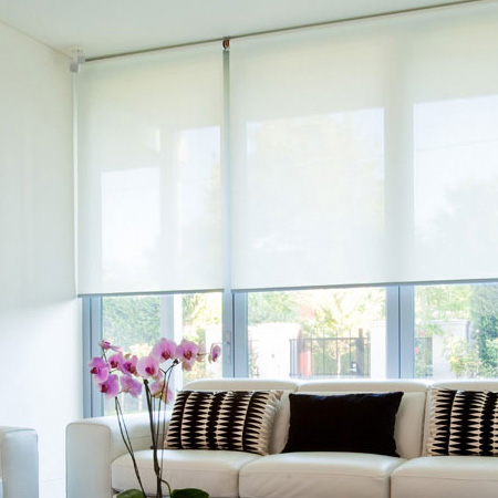 DG - VALE Translucent Roller Blind (Standard Windo