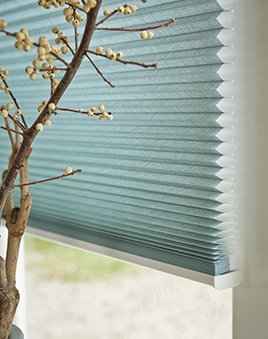 Gallery - Duette Honeycomb Blinds