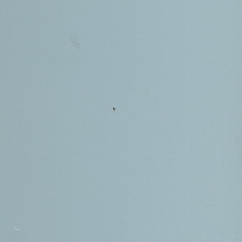 Luxaflex 25mm Metal Venetian Blind | 0903 Uni