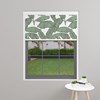 BlocOut Thermal Blackout Roller Blinds