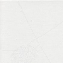 Genuine Roto ZRE Roller Blinds - Q Windows | 3-R56-White Leaves