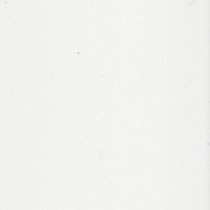 Clic 25mm Wood Blind | Absolute White Clic 25mm Wood Blind | Absolute White