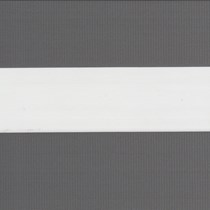 VALE Multishade/Duorol Blind | Dimo BO Anthracite VALE Multishade/Duorol Blind | Dimo BO Anthracite