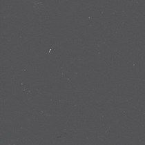 Clic 25mm Wood Blind | Graphite Clic 25mm Wood Blind | Graphite