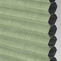 Clic Fit Cellular/Pleated Blackout Blind | Hive Deluxe Sage