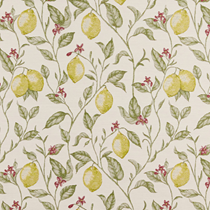 Decora Fabric Box Roman Blinds | Lemon Grove Dawn