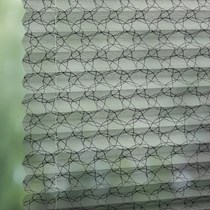 Luxaflex 20mm Transparent Plisse Blind | 1982 Merletto StainStop