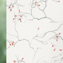 Luxaflex Translucent White Roller Blind | 1230 Nypon