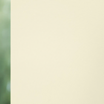 Luxaflex Translucent Natural Roller Blind | 1680 Elements