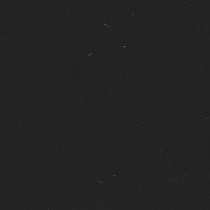 Clic 25mm Wood Blind | Onyx Clic 25mm Wood Blind | Onyx