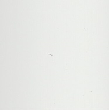 Luxaflex 25mm Metal Venetian Blind