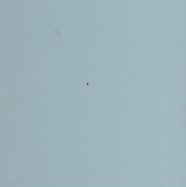 Luxaflex 25mm Metal Venetian Blind