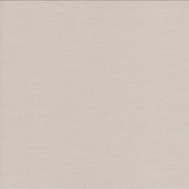 Genuine Roto Roller Blind (ZRE-M)