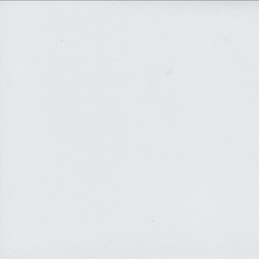 Genuine Roto Roller Blind (ZRE-M)