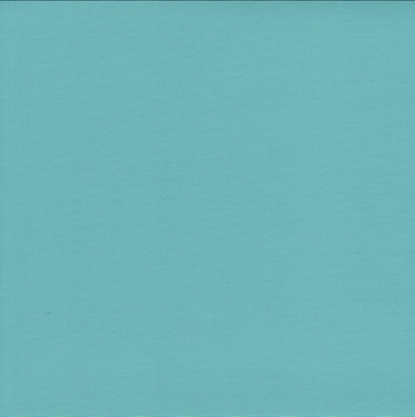 Genuine Roto Blackout Blind (ZRV-M)