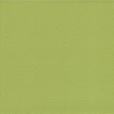 Genuine Roto Blackout Blind (ZRV-M)