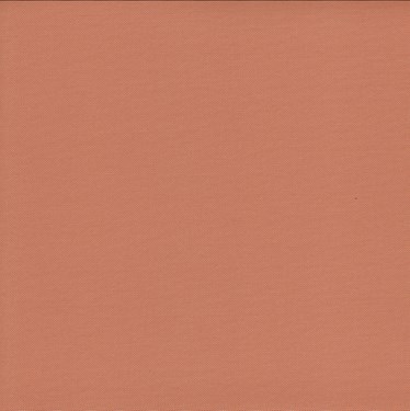 Genuine Roto Blackout Blind (ZRV-M)