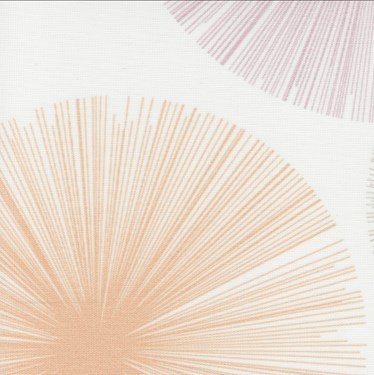 Genuine Roto Roller Blind (ZRE-M)