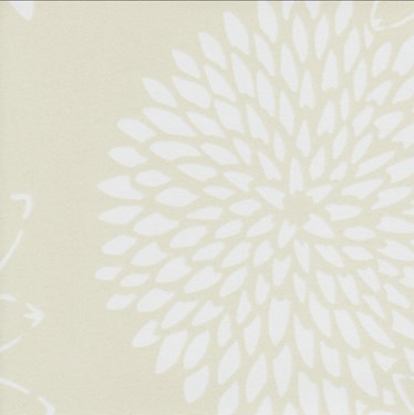 Genuine Roto Blackout Blinds - Q Windows