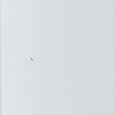 Luxaflex 25mm Venetian Blind