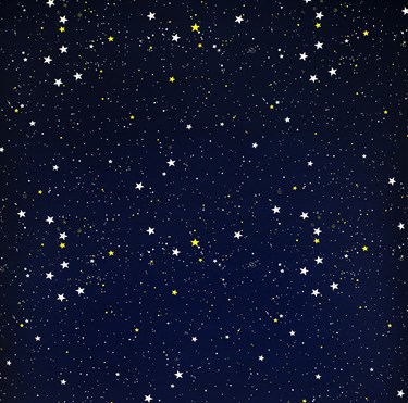 VALE for Duratech Blackout Blind