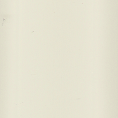 Fakro Venetian Blinds AJP