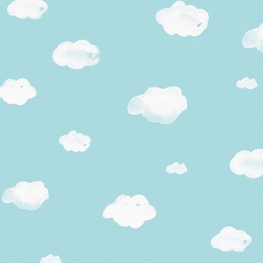 Genuine VELUX® Blackout Duo (DFD) Blind