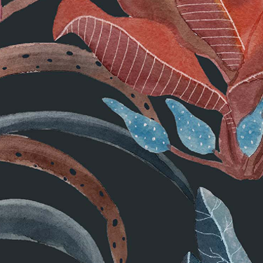 BlocOut XL Thermal Blackout Roller Blinds