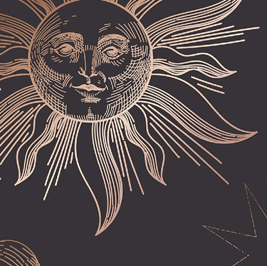 BlocOut XL Thermal Blackout Roller Blinds