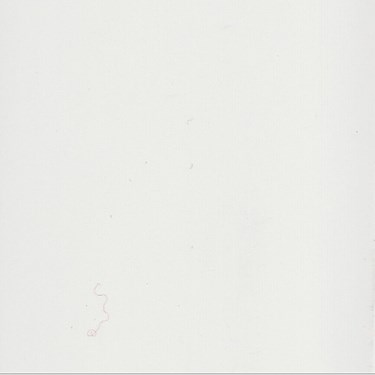 PT 50mm Faux Wood Venetian Blind