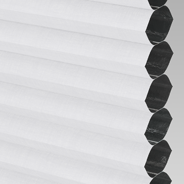 Clic Fit Cellular/Pleated Blackout Blind