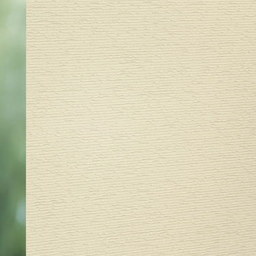 Luxaflex Translucent Natural Roller Blind