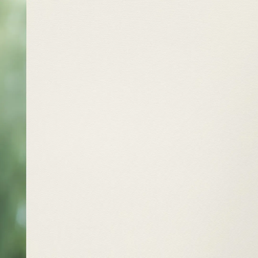 Luxaflex Extra Large - Translucent Roller Blind