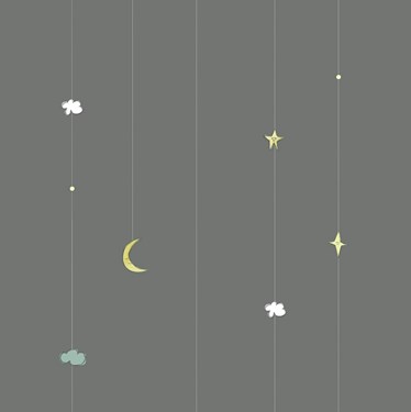 Genuine VELUX® Blackout Duo (DFD) Blind