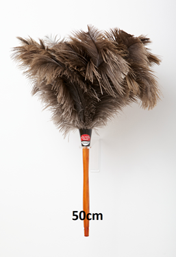 Ostrich Feather Duster