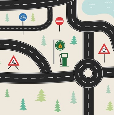 Genuine VELUX® Blackout Duo (DFD) Blind