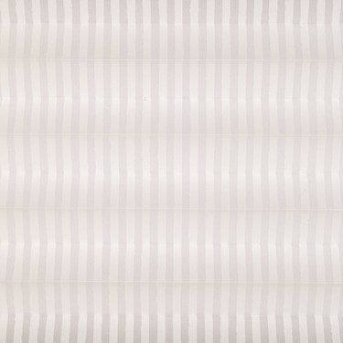 Genuine Roto Pleated Blind (ZFA-M)